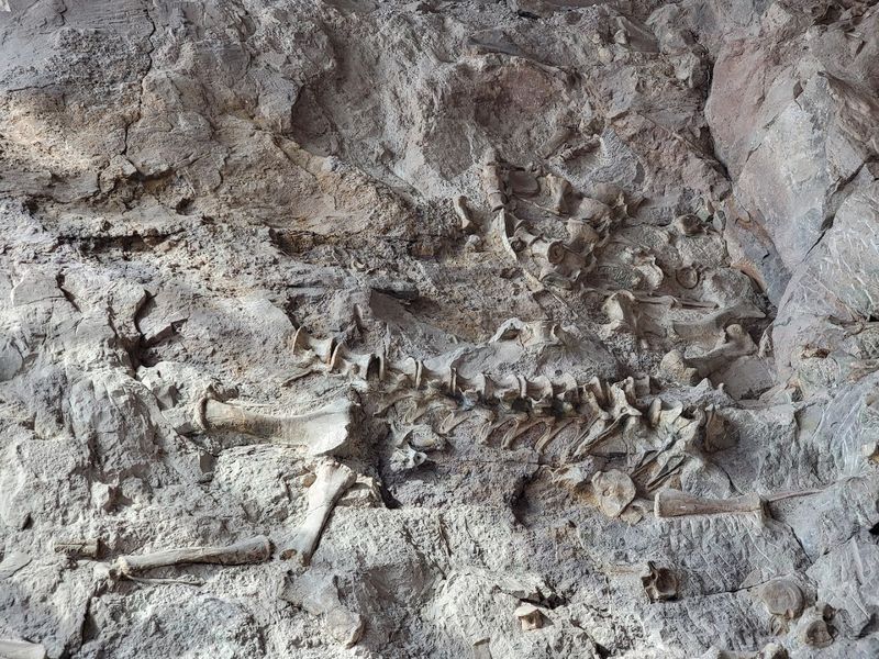 Dinosaur National Monument