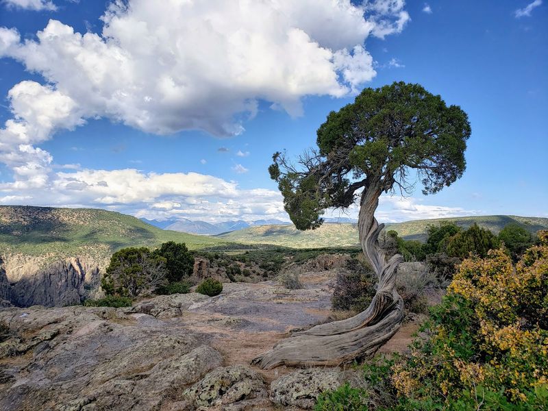 Black Canyon of the Gunnison National Park, Montrose
