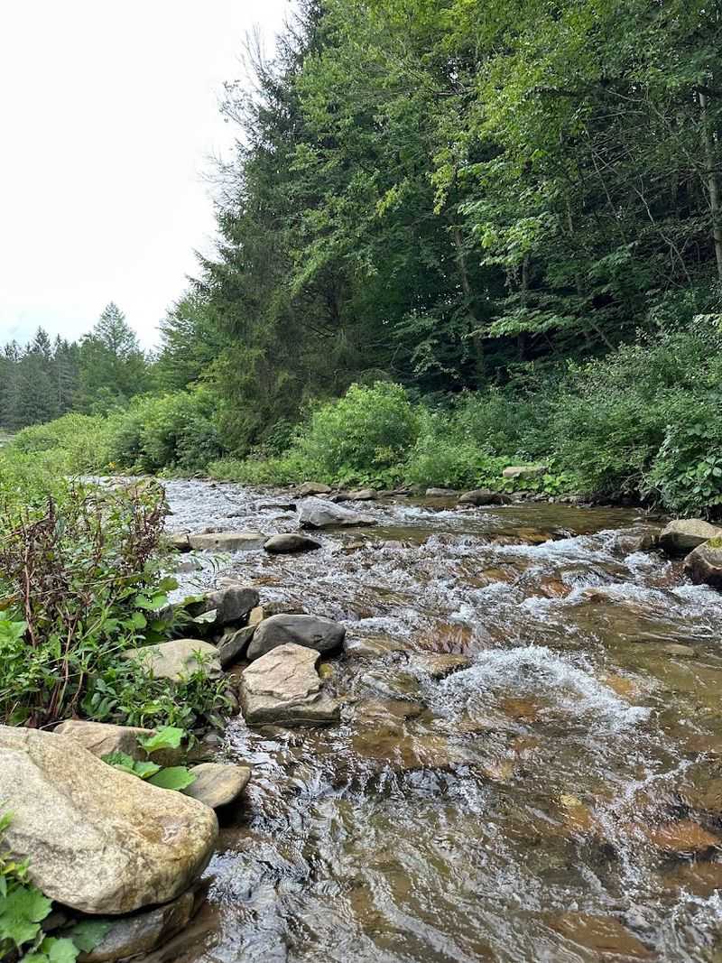Masten Backpack Camping Area, Loyalsock State Forest