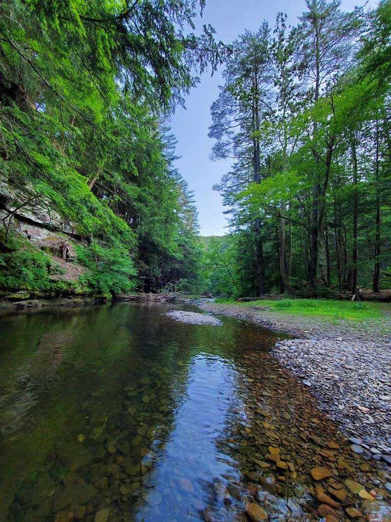 Black Forest Trail, Tiadaghton State Forest