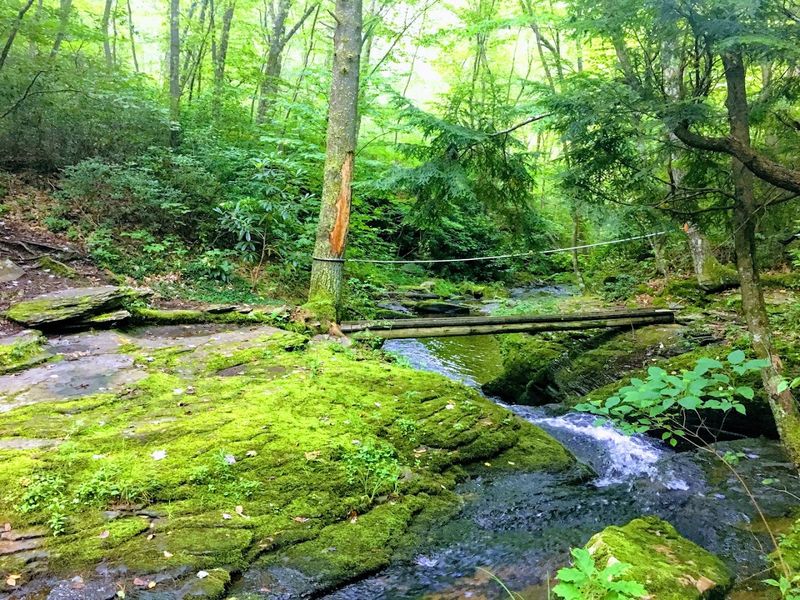 Black Forest Trail, Tiadaghton State Forest Black Forest Trail, Tiadaghton State Forest