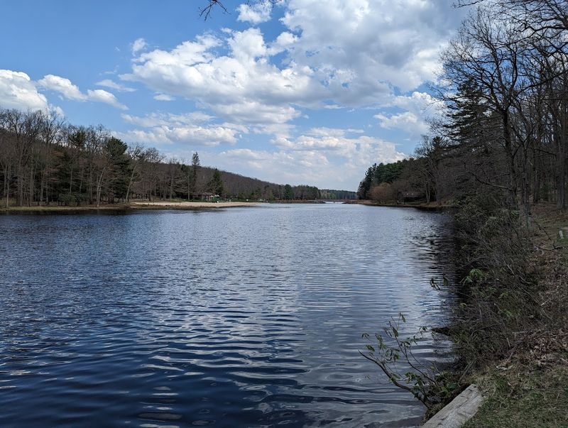 Black Moshannon State Park Campground, Philipsburg, Pennsylvania