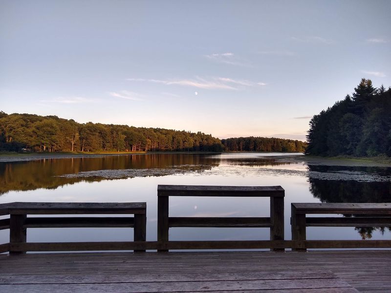Black Moshannon State Park, Philipsburg, Pennsylvania