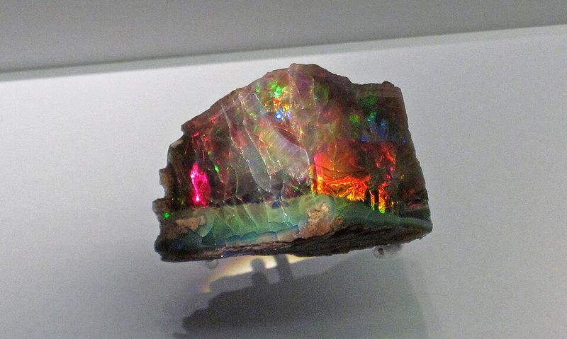 Virgin Valley Opal Mines