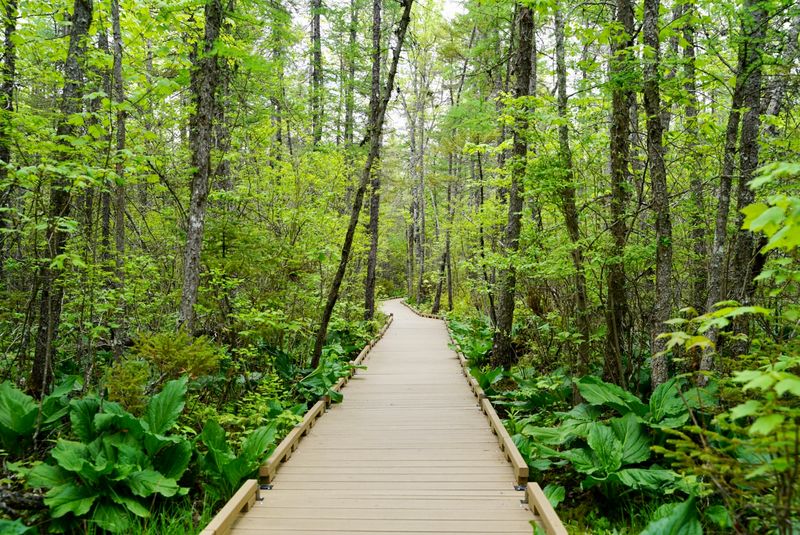 Wildlife Sightings From Birds To Bears