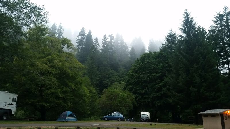 Blackberry Campground