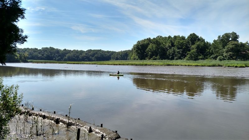 Blackbird Creek Reserve