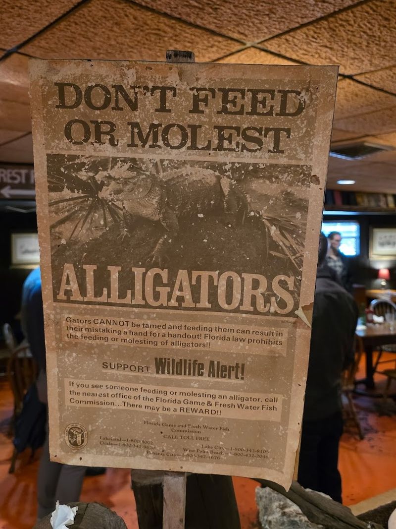 Fried Green Tomatoes and Hush Puppies Done Right