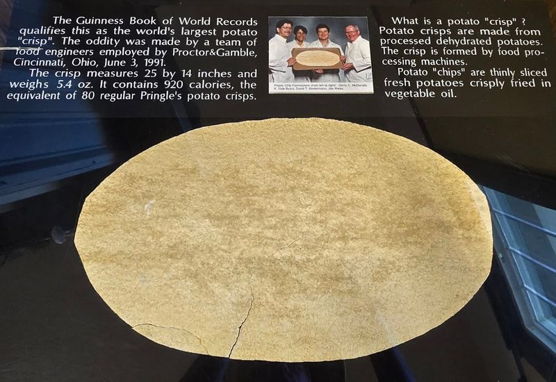 The World's Largest Potato Crisp That Defies Logic