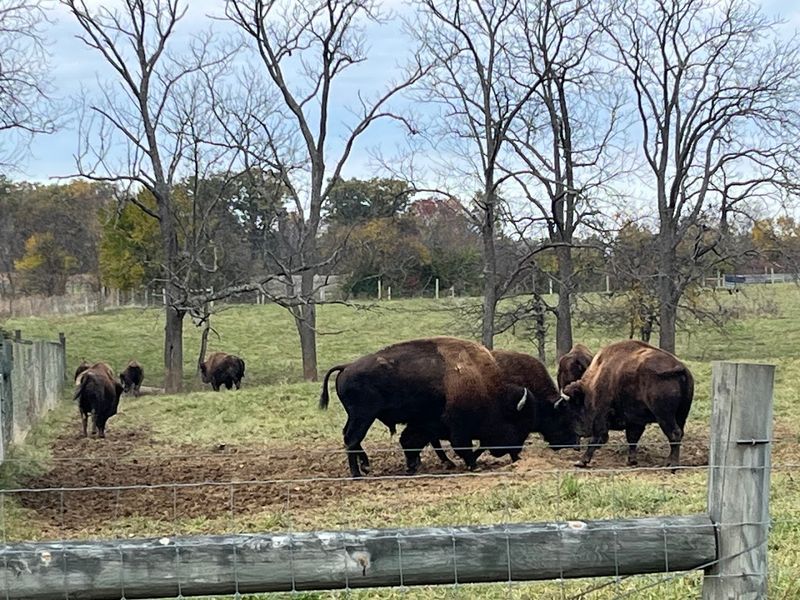 Battelle Darby Creek Metro Park, Galloway, OH