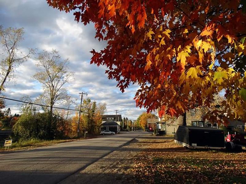 Black's Woods Road / Route 182, Franklin To Cherryfield