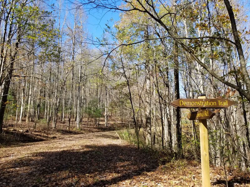 Holmes Educational State Forest - 1299 Crab Creek Rd, Hendersonville