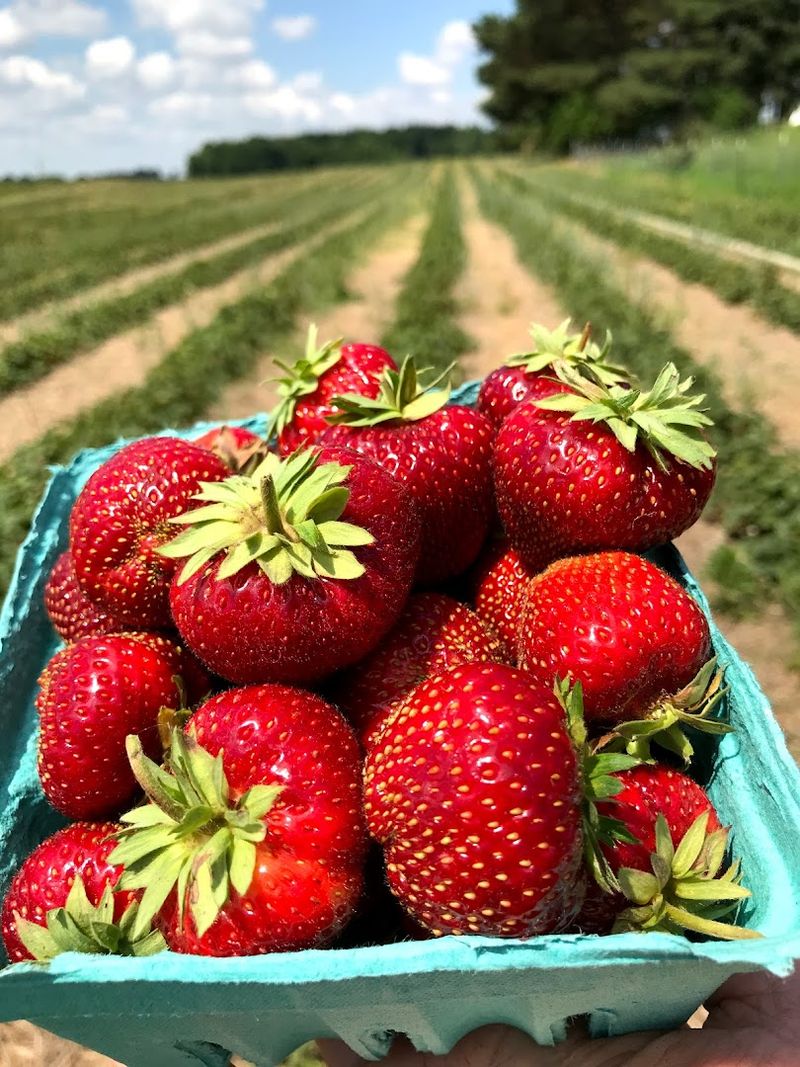 Huhn Strawberry Farm, Eagle