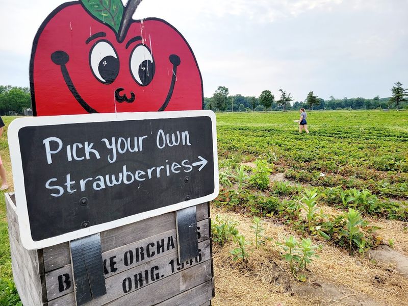 Blake’s Strawberry Festival, Armada