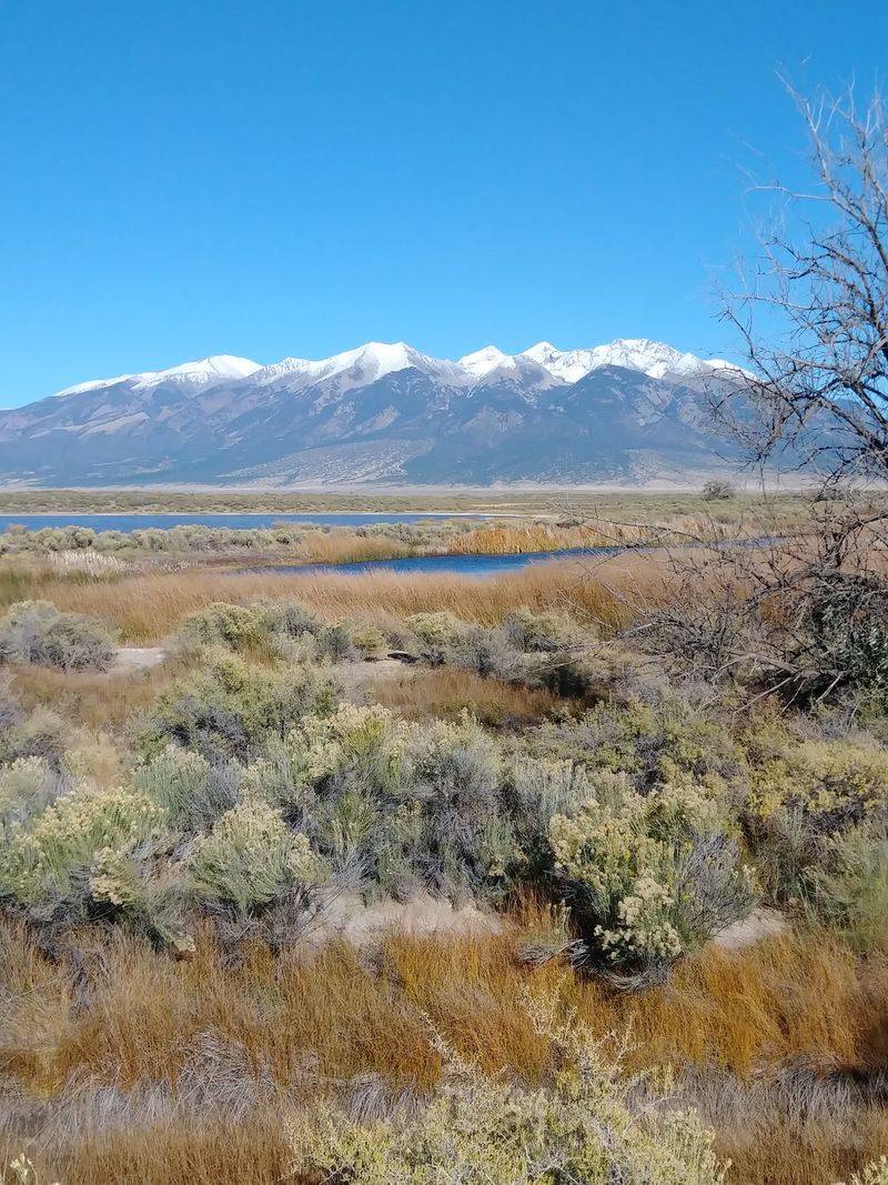 Blanca Wetlands Near Alamosa