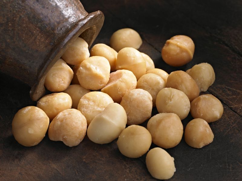 Macadamia Nuts: Canine Danger