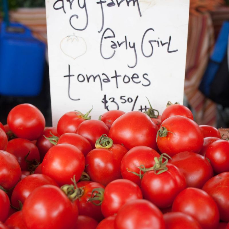 Dry-Farmed Early Girl Tomatoes