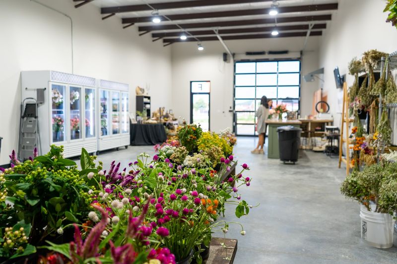 Bloom & Co. Flower Farm, Piggott