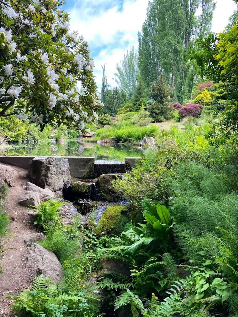 Kubota Garden, Seattle, WA