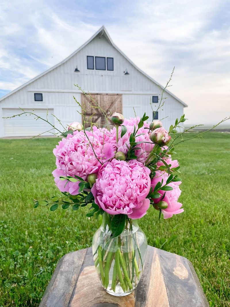 Graceful Acres Flower Farm, Monticello