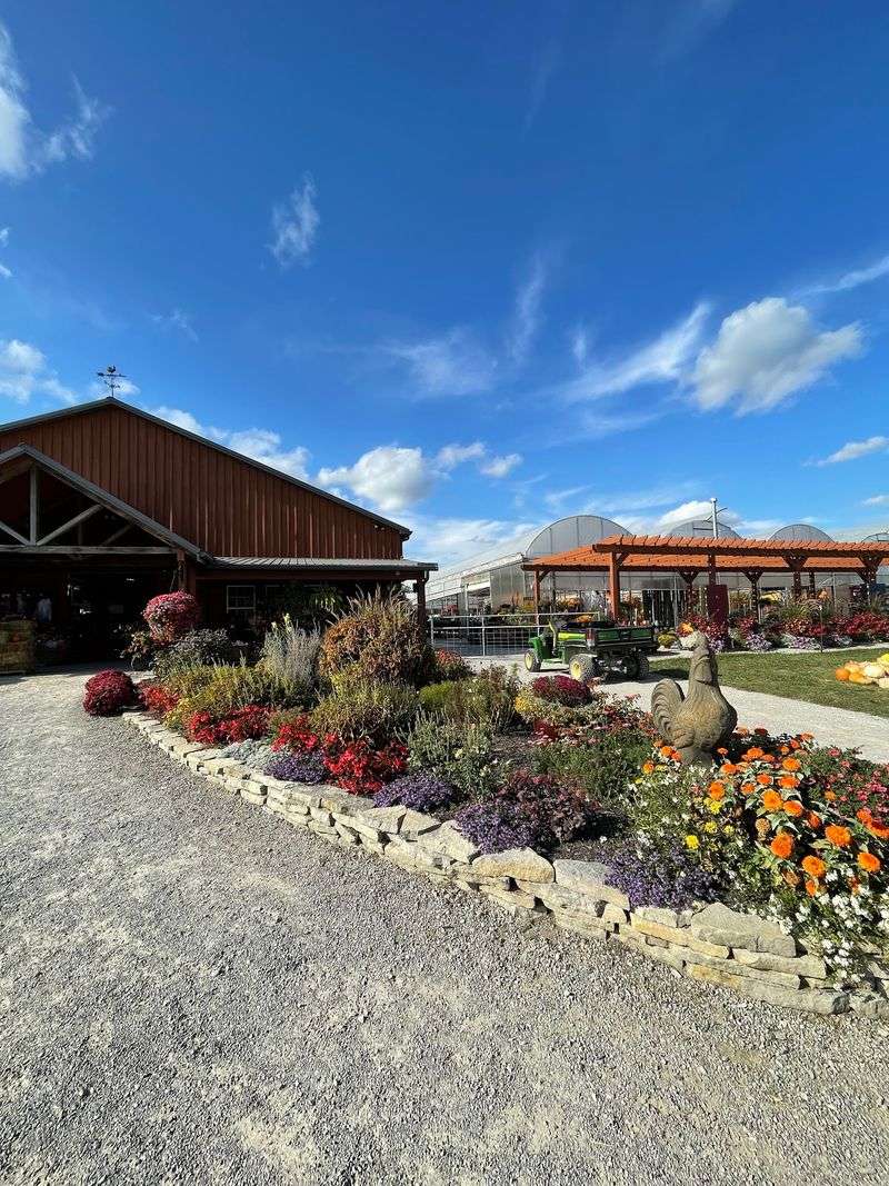 Blooms & Berries Farm Market, Loveland