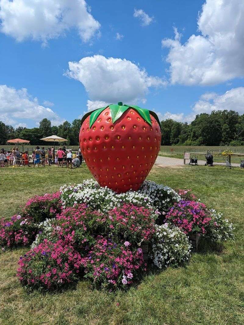 Blooms & Berries Farm Market, Loveland