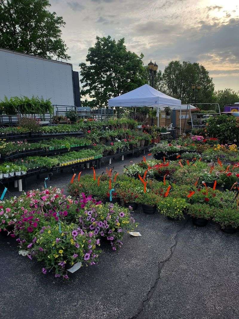 Blooms With Market Magic