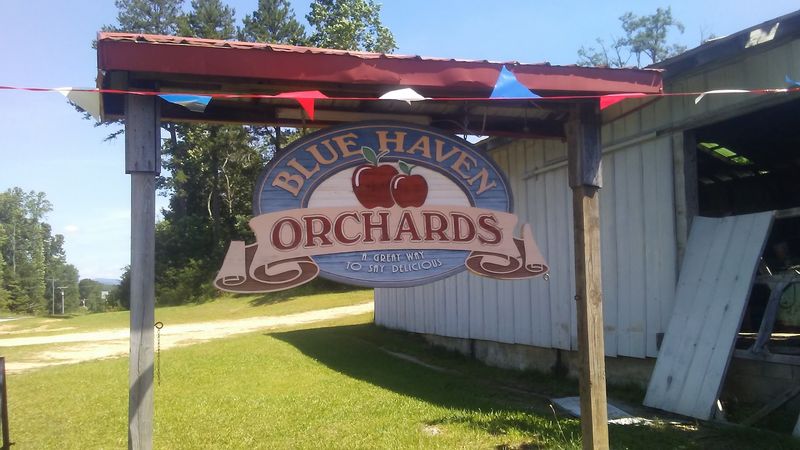 Blue Haven Orchards, Long Creek
