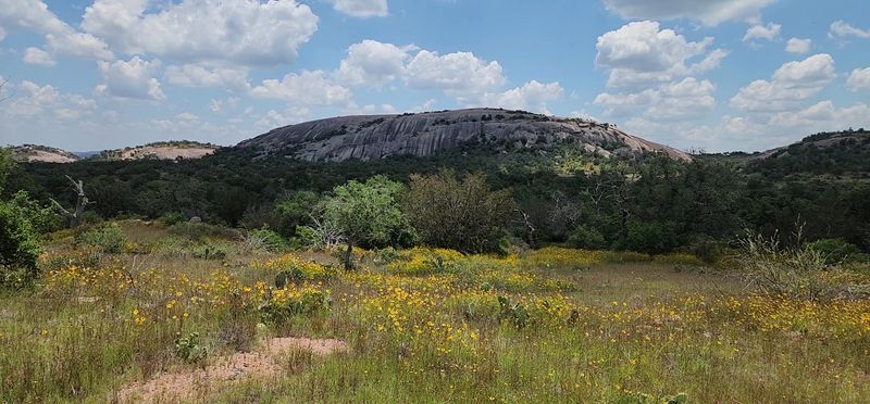 Enchanted Rock State Natural Area - Fredericksburg, Texas