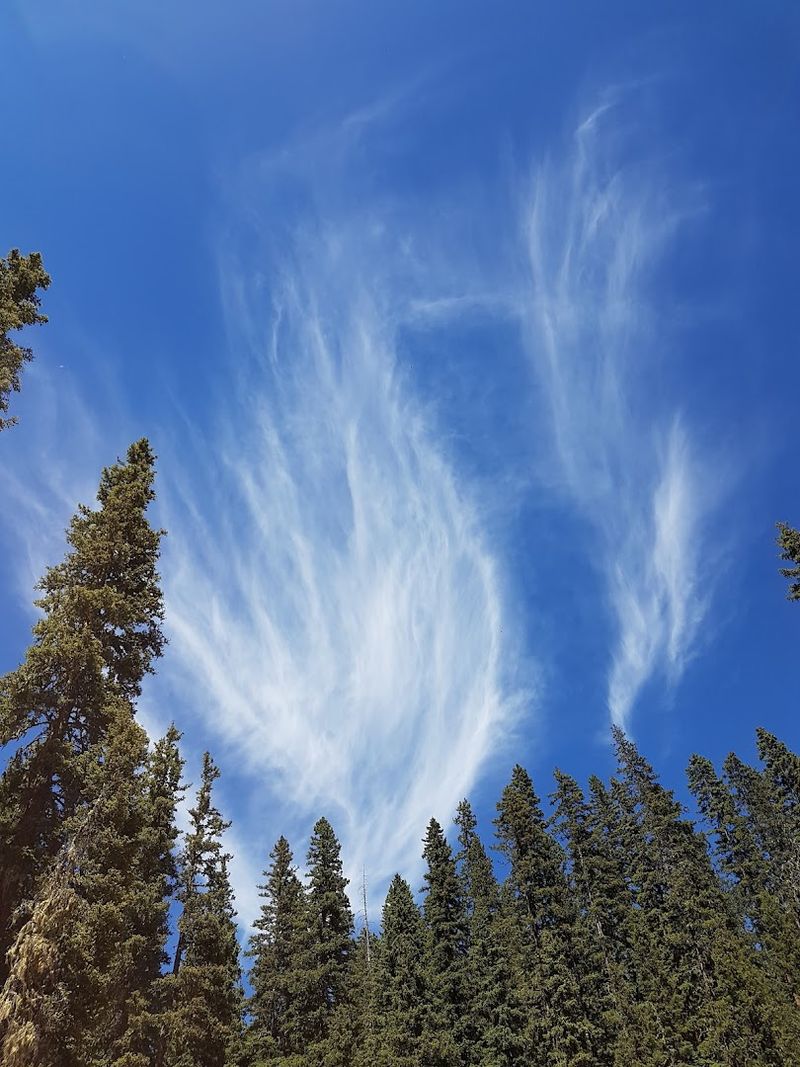 Hermosa Creek Trail - North of Durango