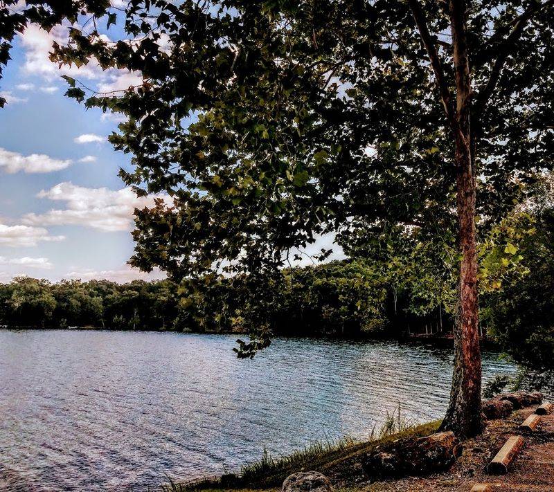 Blue Lake Views Framed By Trees