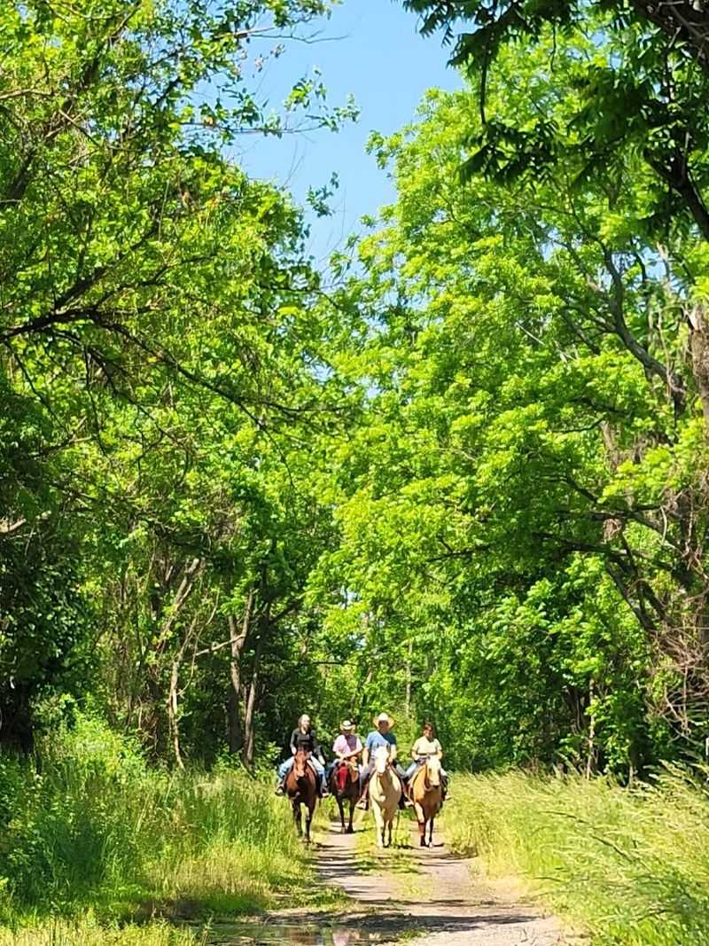 Blue Marsh Lake Multi-Use Trail, Bernville, Pennsylvania