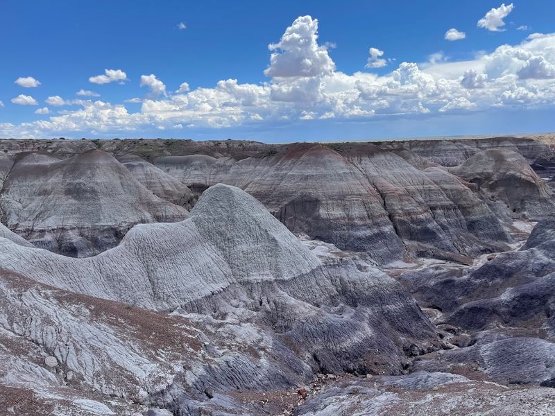 Blue Mesa Trail, Petrified Forest National Park