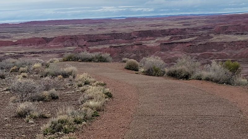 Painted Desert Rim Trail, Petrified Forest National Park