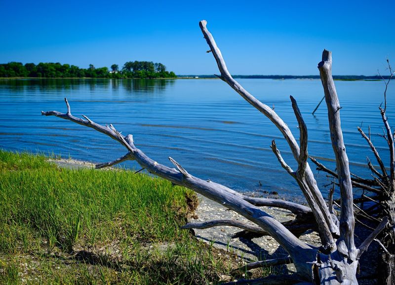 Colonial Parkway Plus Yorktown Riverfront Loop Finish