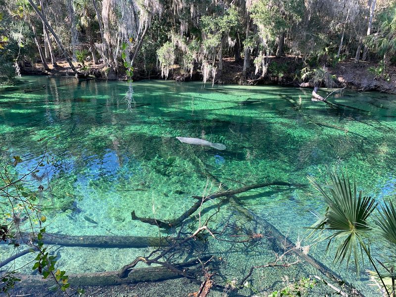 Blue Spring State Park