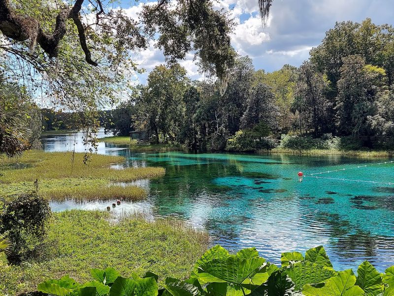 Rainbow Springs State Park, Dunnellon