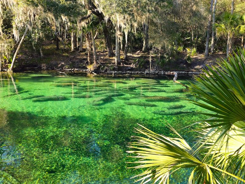 Blue Spring State Park, Orange City