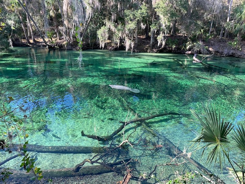 Blue Spring State Park, Orange City, FL Blue Spring State Park, Orange City, FL