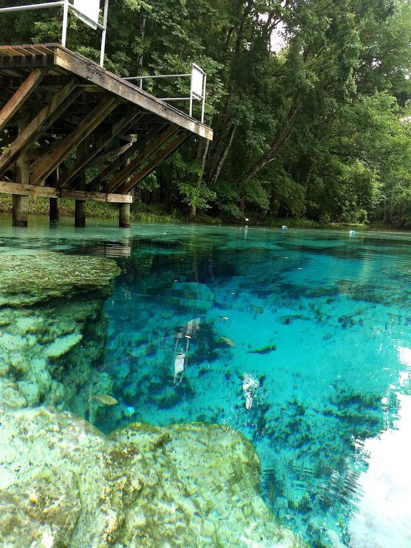 Blue Springs, Orange City