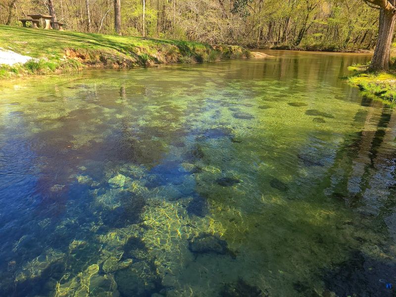 Blue Springs State Park Blue Springs State Park