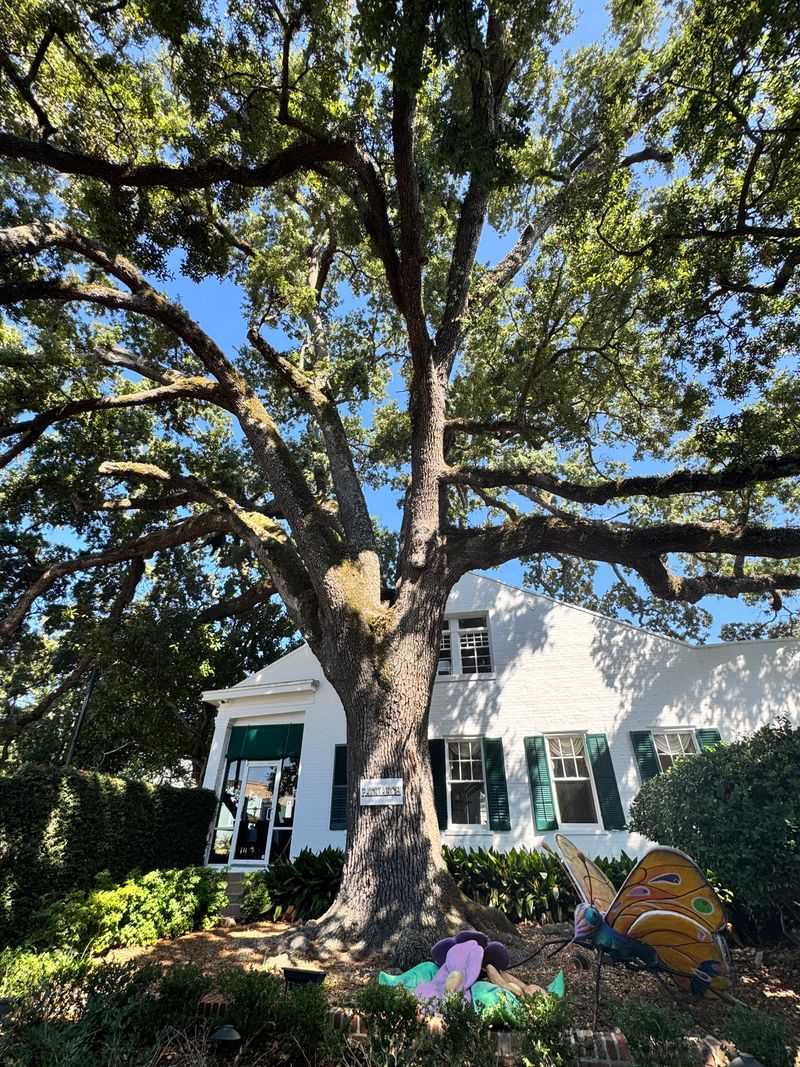 Mary Mahoney's Old French House — Biloxi, MS