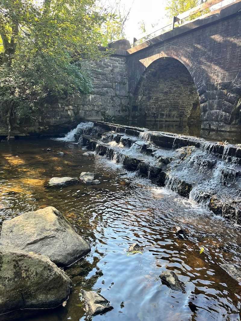 Trout Fishing And Open Fields For Active Visitors