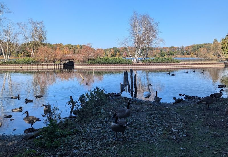 April Nesting Etiquette For Photographers