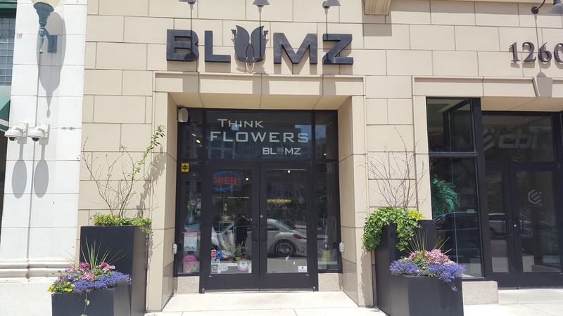 Blumz By JRDesigns