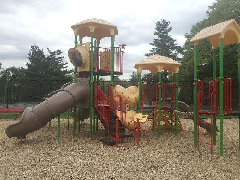 Petrie Park, Bryn Mawr