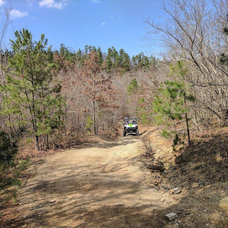 Board Camp Crystal Mine Digging Experience