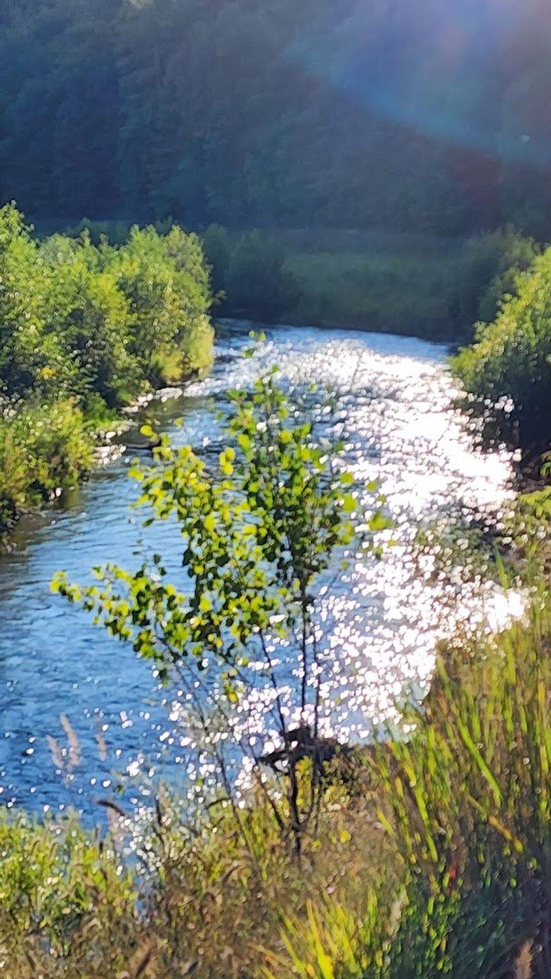 Boardman River Boardman River