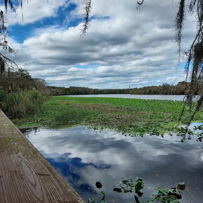 Midpoint Camping Shelter