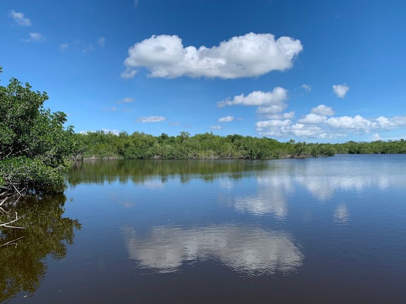 Bird-Watching At Its Most Spectacular